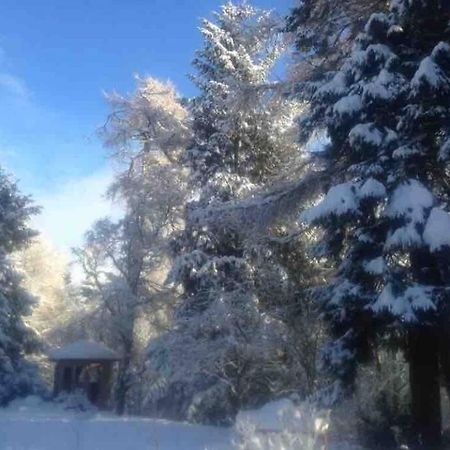 The Beeches Studio, Highlands Of Scotland Newtonmore Extérieur photo