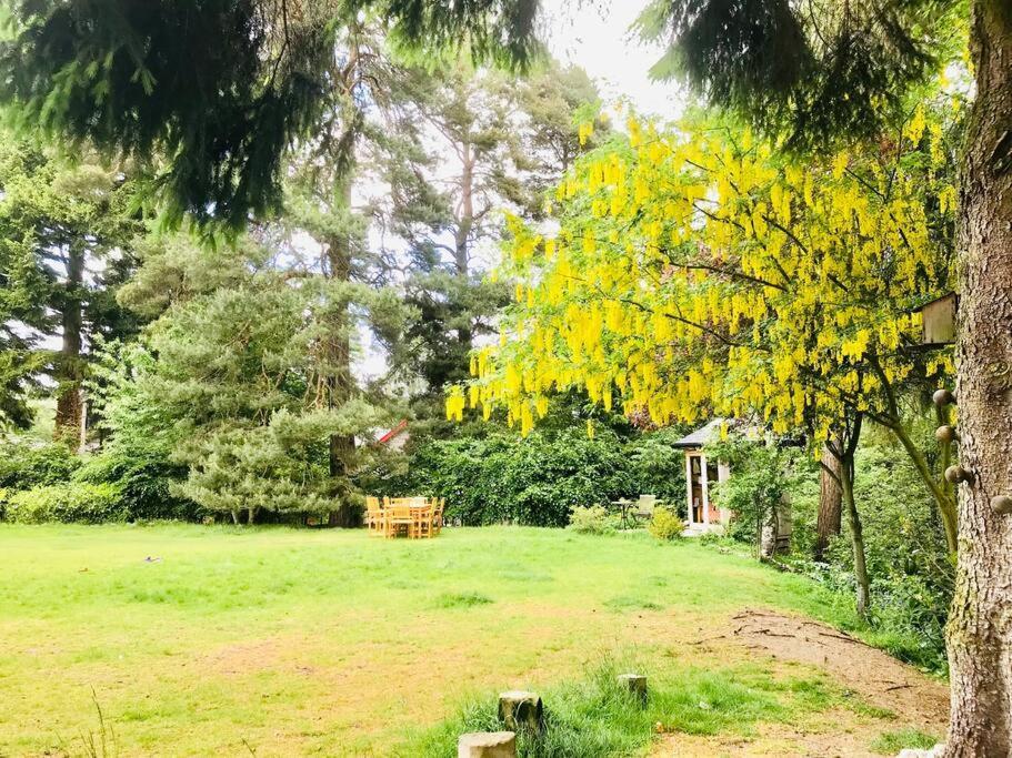 The Beeches Studio, Highlands Of Scotland Newtonmore Extérieur photo