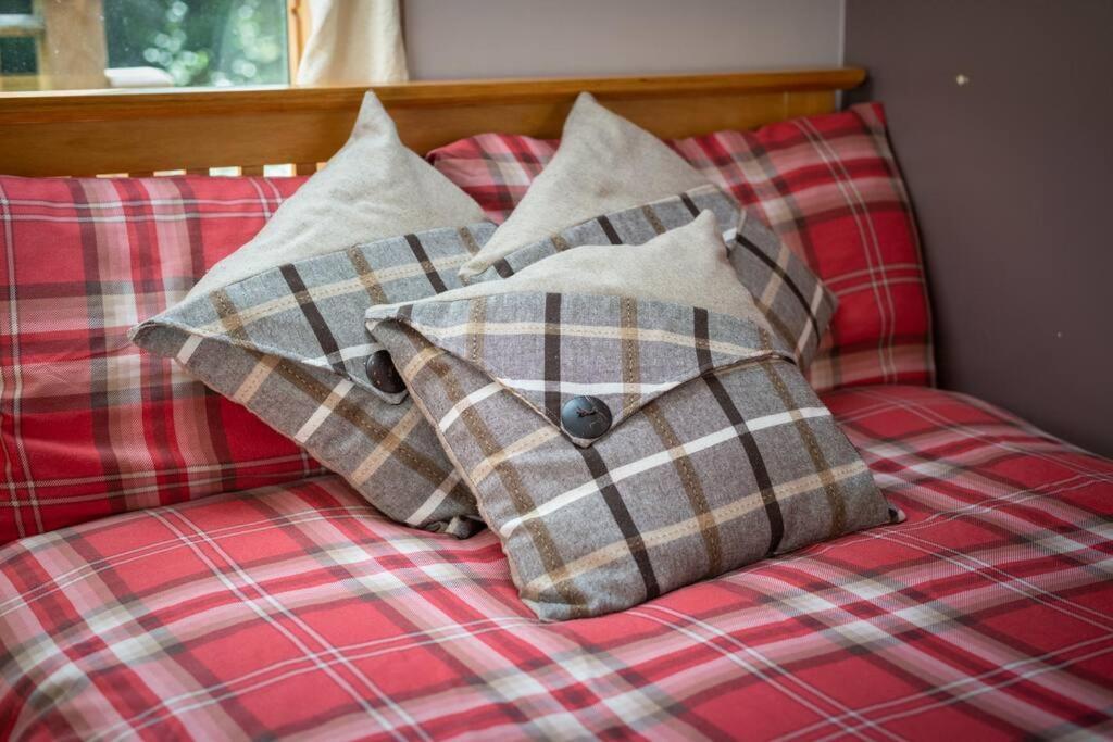 The Beeches Studio, Highlands Of Scotland Newtonmore Extérieur photo