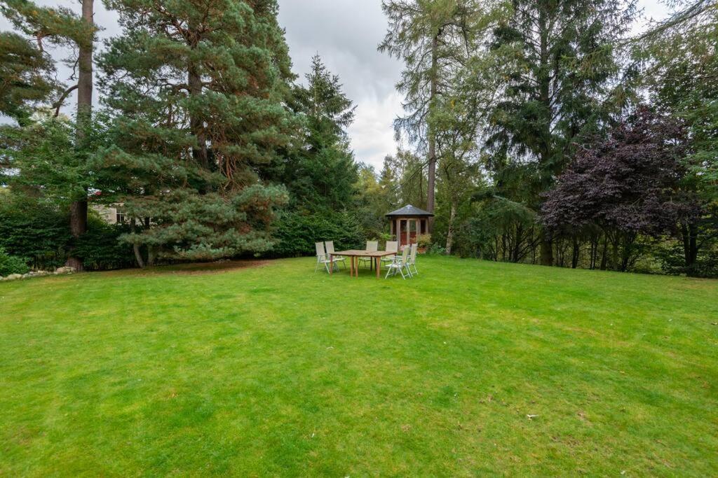 The Beeches Studio, Highlands Of Scotland Newtonmore Extérieur photo