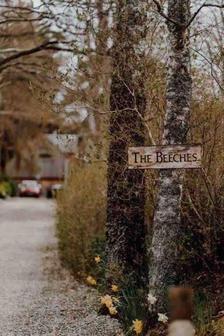 The Beeches Studio, Highlands Of Scotland Newtonmore Extérieur photo