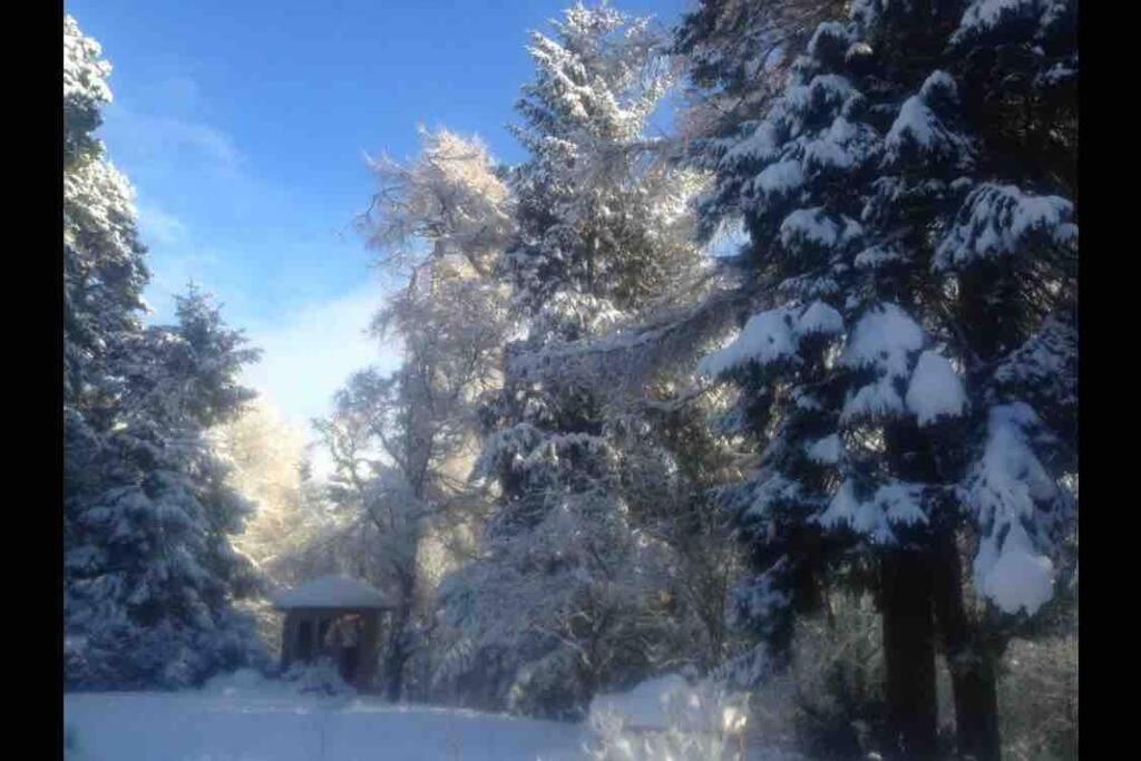 The Beeches Studio, Highlands Of Scotland Newtonmore Extérieur photo
